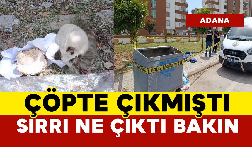 Çöpte bulunan kafatasının sırrı bakın ne çıktı