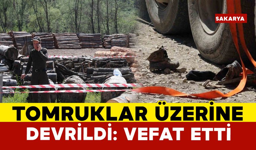 Tonlarca Tomruk Üzerine Devrildi, Hayatını Kaybetti