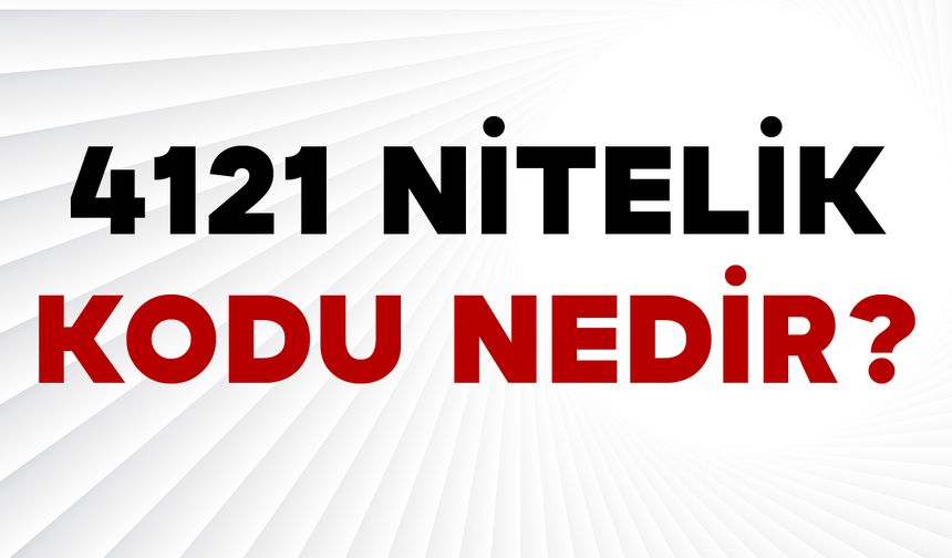 4121 Nitelik Kodu Nedir?