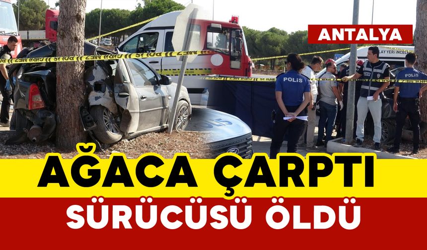 Ağaca çarpan otomobilin sürücüsü öldü
