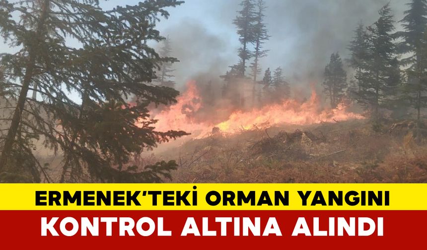 Ermenek’teki Orman Yangını Kontrol Altına Alındı