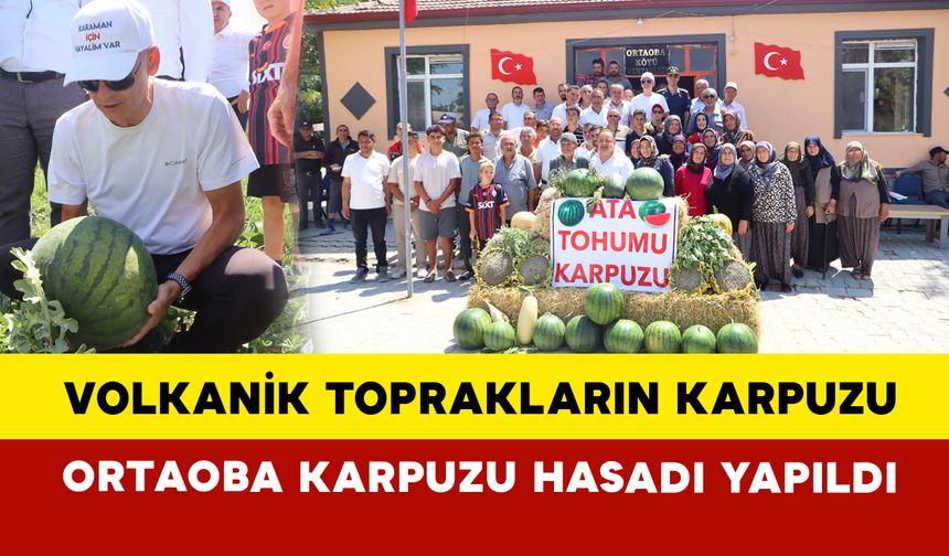 Karaman’da Ortaoba Karpuzu hasadı yapıldı