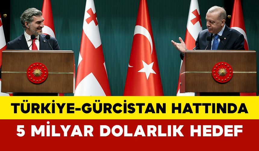 Türkiye-Gürcistan Hattında 5 Milyar Dolarlık Hedef