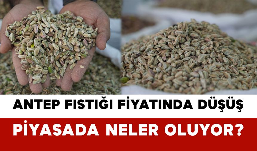 Antep Fıstığı Fiyatında Düşüş: Piyasada Neler Oluyor?