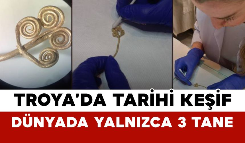 Troya’da Tarihi Keşif: Dünyada Yalnızca 3 Tane