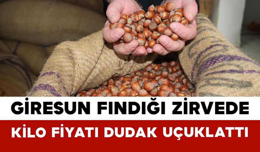 Giresun Fındığı Zirvede: Kilo Fiyatı Dudak Uçuklattı