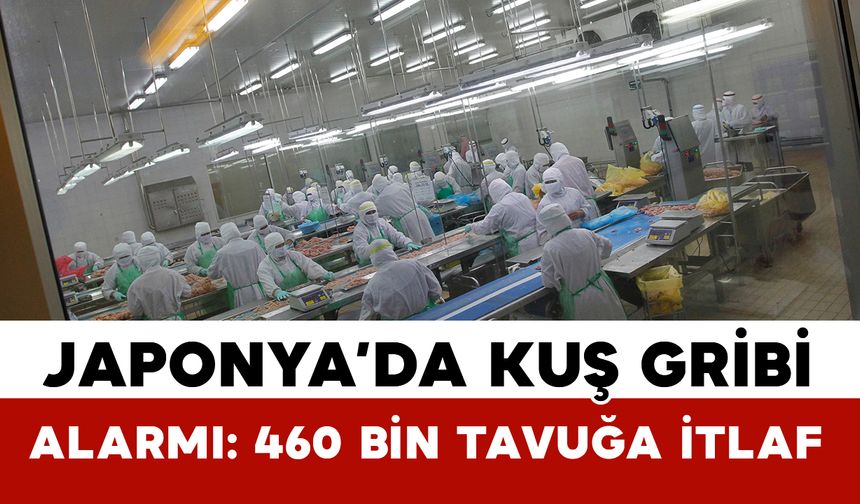 Japonya'da kuş gribi alarmı