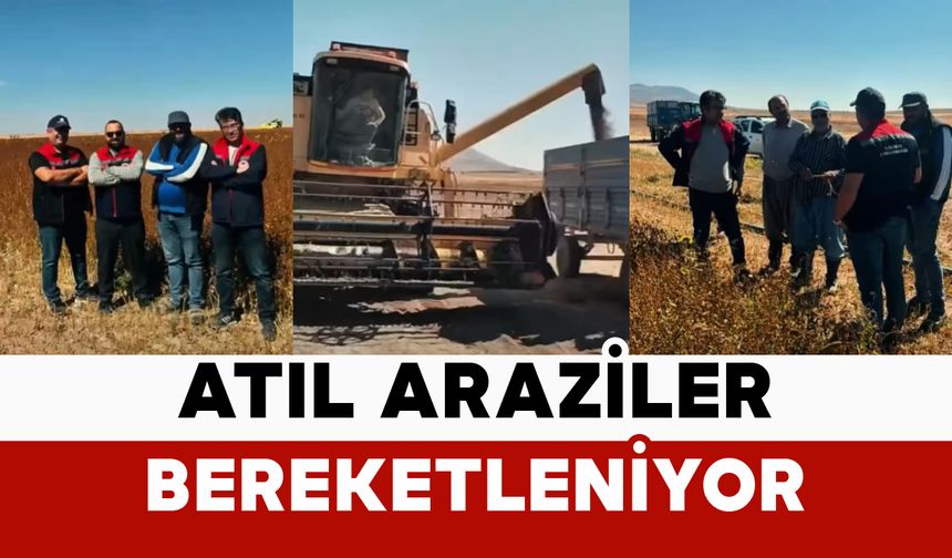 Karaman’da Atıl Araziler Karabuğdayla Bereketleniyor
