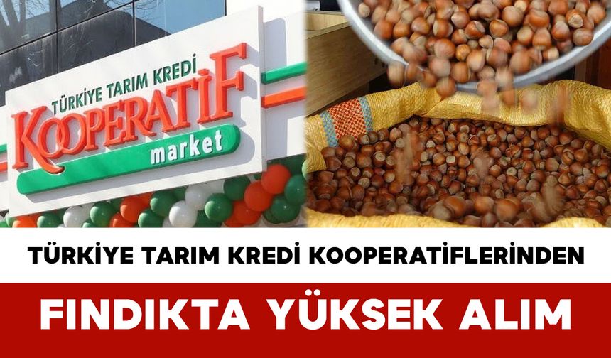 Türkiye Tarım Kredi Kooperatiflerinden Fındıkta Yüksek Alım