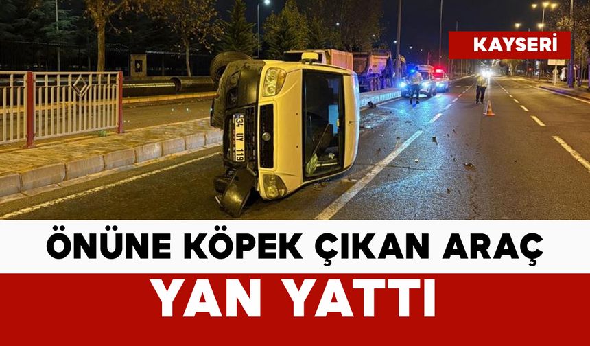 Önüne köpek çıkınca yan yattı: 2 yaralı