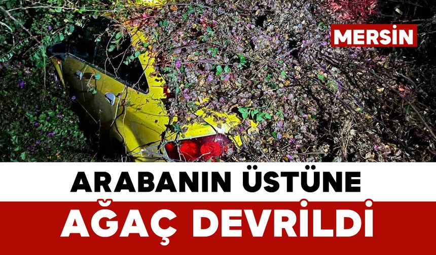 Sürücüsünün içinde olduğu otomobilin üzerine ağaç devrildi