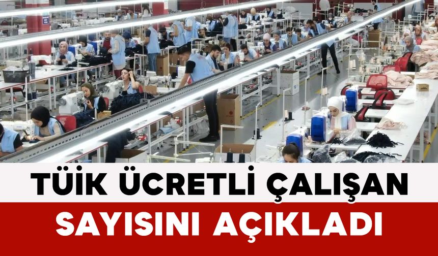 TÜİK Ücretli Çalışan Sayısını Açıkladı
