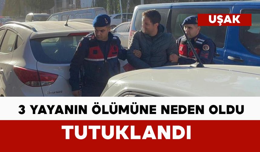3 yayanın ölümüne neden olan sürücü tutuklandı