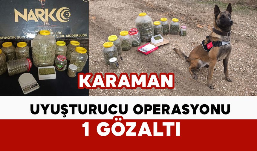 Karaman’da uyuşturucu operasyonu: 1 kişi gözaltına alındı