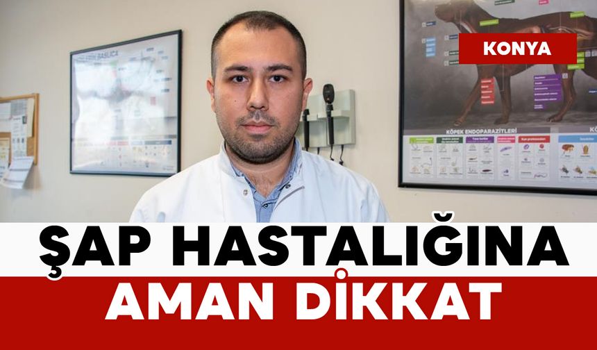 Şap hastalığıyla ilgili önemli uyarı