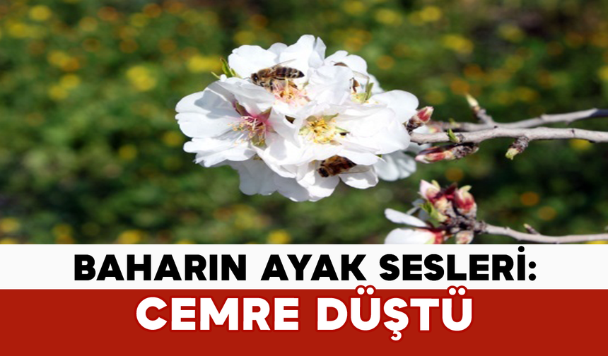 Baharın Ayak Sesleri: Cemre Düştü