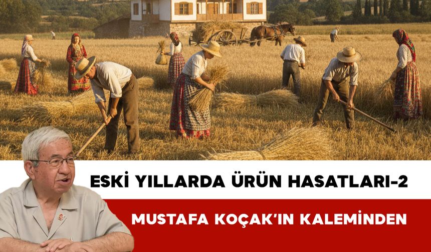 Eski Yıllarda Ürün Hasatları -2