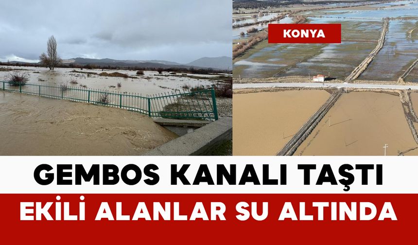 Gembos kanalı taştı: ekili alanlar sular altında