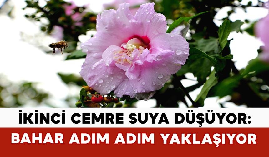 İkinci Cemre Suya Düşüyor: Bahar Adım Adım Yaklaşıyor