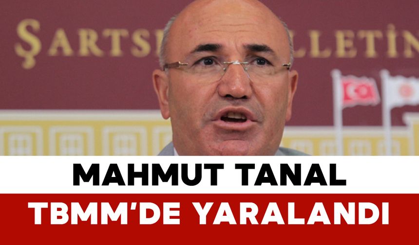 Mahmut Tanal TBMM’de Yaralandı