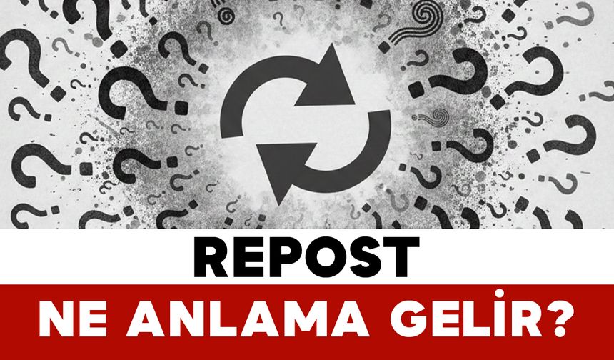 Repost ne anlama gelir?