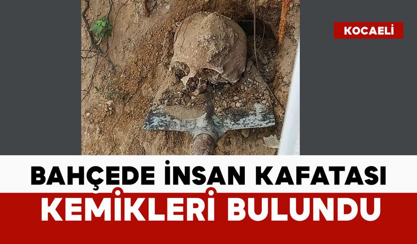 Bahçede insan kafatası bulundu