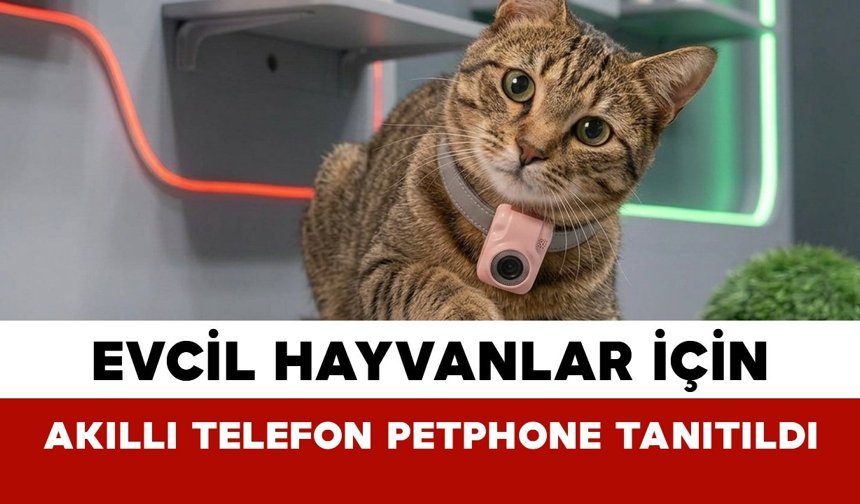 Evcil Hayvanlar İçin Akıllı Telefon PetPhone Tanıtıldı