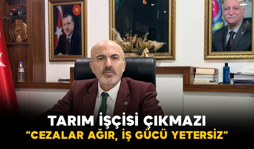Karaman’da tarım işçisi çıkmazı: "Cezalar ağır, iş gücü yetersiz"