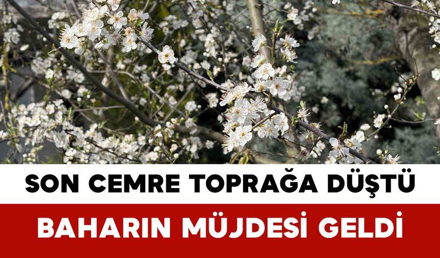 Son Cemre Toprağa Düştü: Baharın Müjdesi Geldi