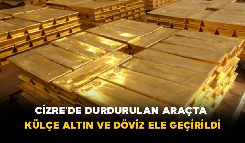 Cizre’de Durdurulan Araçta Külçe Altın ve Döviz Ele Geçirildi