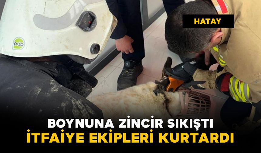 Köpeğin imdadına itfaiye yetişti