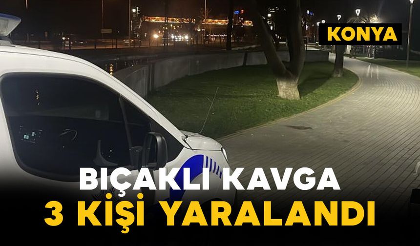 Parka bıçaklı kavgada 3 kişi yaralandı