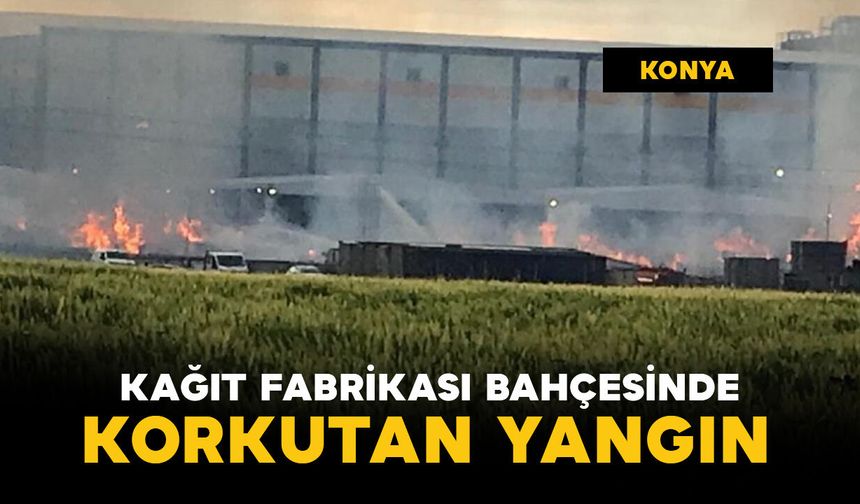Kağıt fabrikasının bahçesinde korkutan yangın