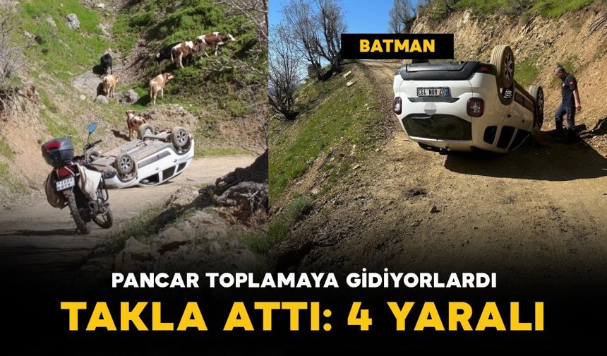 Pancar toplamaya gidenleri taşıyan araç takla attı: 4 yaralı
