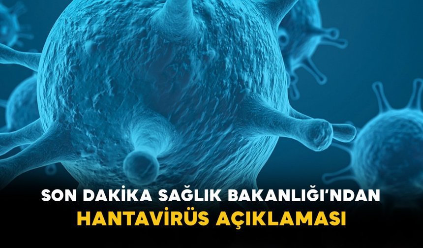 Son Dakika Sağlık Bakanlığı’ndan Hantavirüs Açıklaması