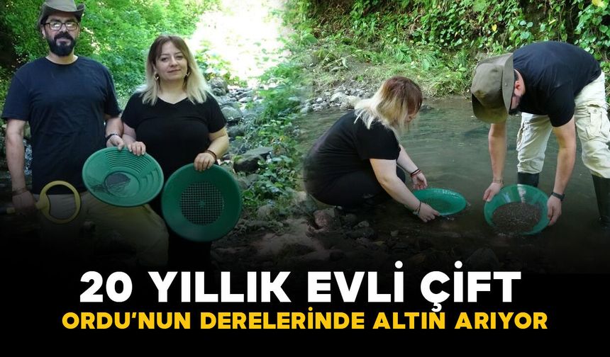 20 yıllık evli çift Ordu'nun derelerinde altın arıyor