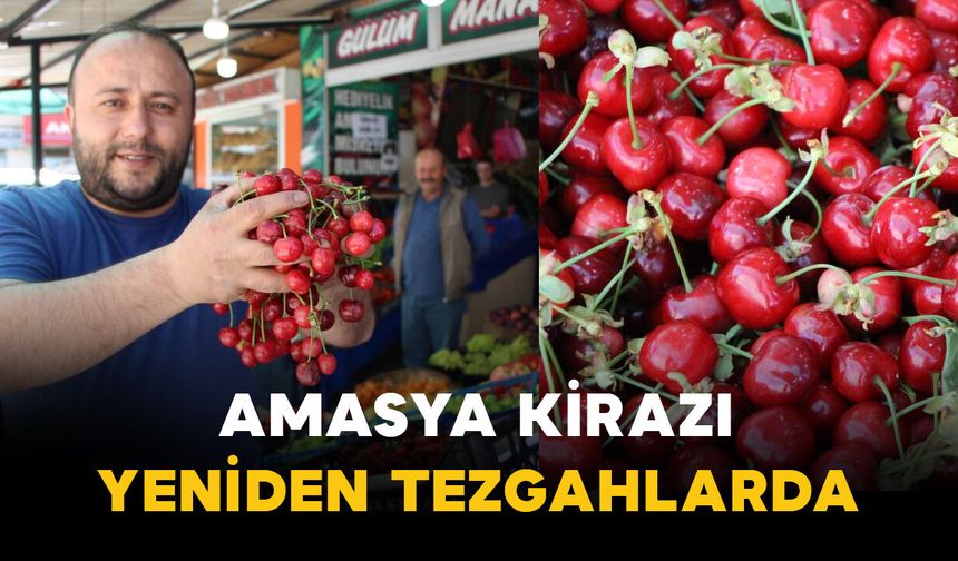 Amasya kirazı tezgahlarda: fiyatı 50 ile 100 lira arasında