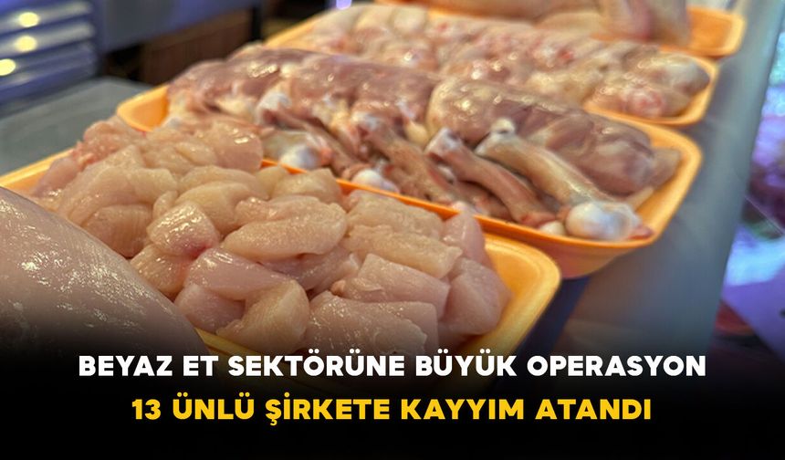 Beyaz et sektörüne büyük operasyon: 13 ünlü şirkete kayyım atandı