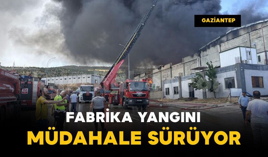 Gaziantep’te fabrika yangını