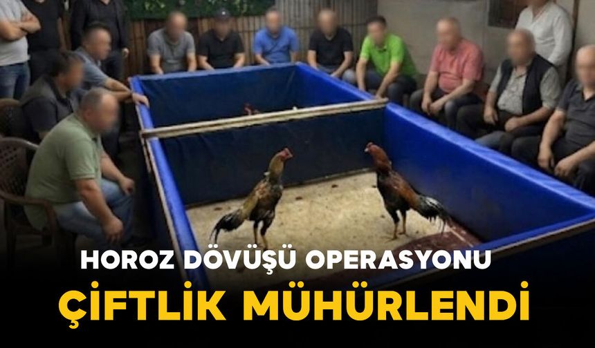 İzmir’de Horoz Dövüşü Operasyonu: Çiftlik Mühürlendi