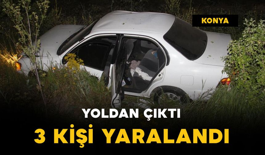 Kontrolünü kaybeden otomobil yoldan çıktı: 3 yaralı