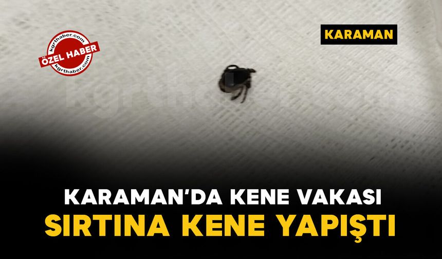 Piknik sonrası sırtına kene yapışan şahıs hastanede sağlığına kavuştu