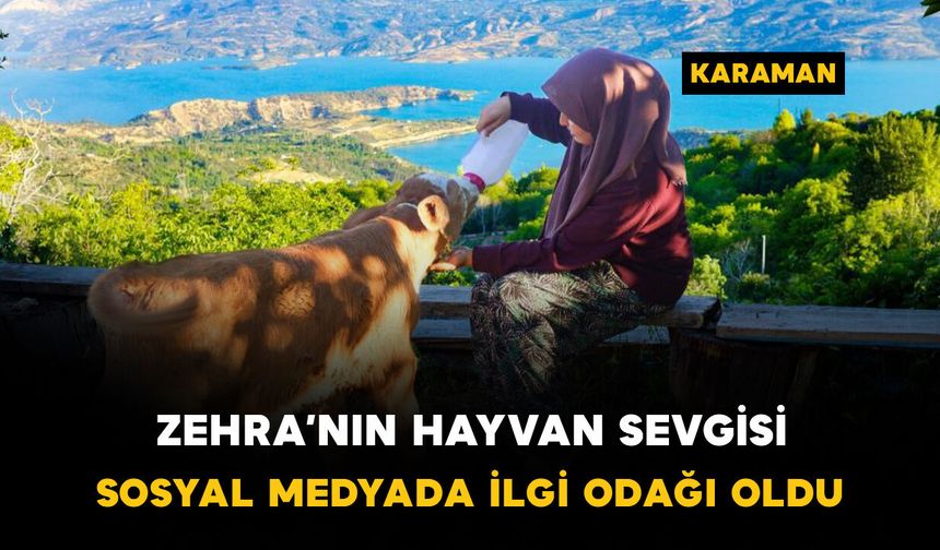Zehra'nın hayvan sevgisi sosyal medyada ilgi odağı oldu