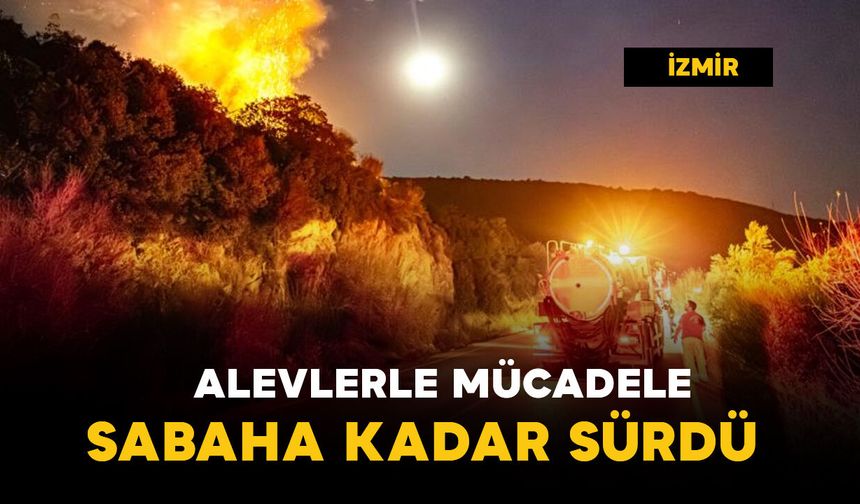 Alevlerle mücadele sabaha kadar sürdü