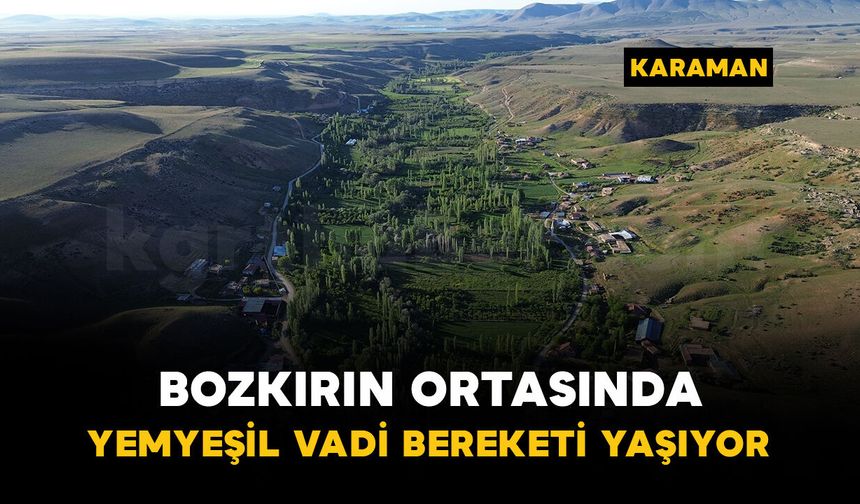 Bozkırın ortasında yemyeşil vadi: Buğdaylı Köyü bereketli yılı yaşıyor