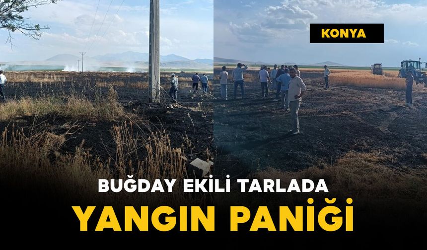Buğday ekili tarlada yangın paniği