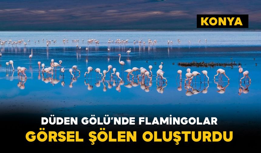 Düden Gölü'nde flamingolar görsel şölen oluşturdu