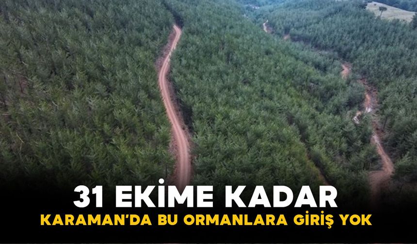 Karaman'da ormanlara giriş yasağı başladı! İşte yasak kapsamındaki bölgeler