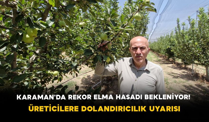 Karaman'da Rekor Elma Hasadı Bekleniyor! Üreticilere Dolandırıcılık Uyarısı