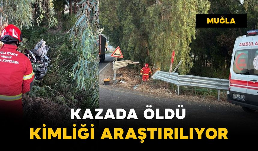 Kazada öldü: kimliği araştırılıyor